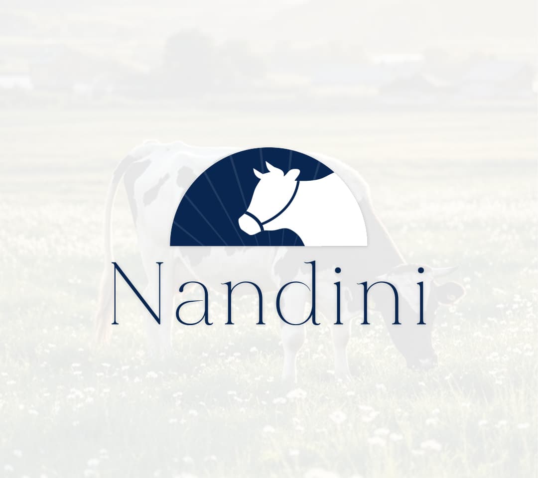 Visual Identity