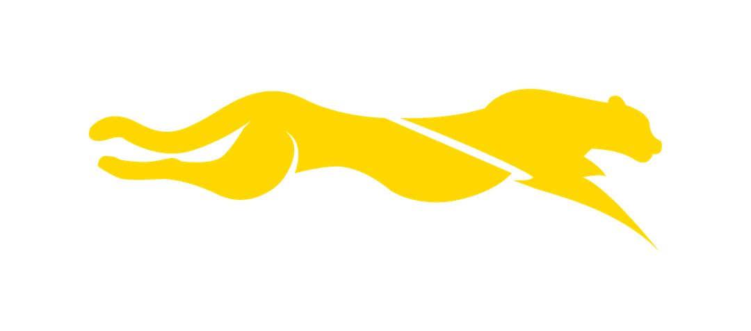Digital Campaign